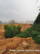 江南区消纳场（泥口场地）