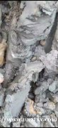 带沙青泥