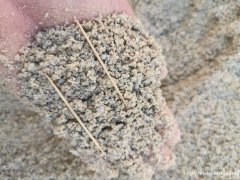 南宁砂石厂、细砂、粗砂、水洗砂、大量出售
