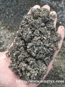 兴宁区碎石片石石粉级配料细砂等南宁市区或周边均可送达