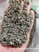 南宁武鸣砂石厂有级配料水稳料石粉片石碎石各规格等售卖南宁周边